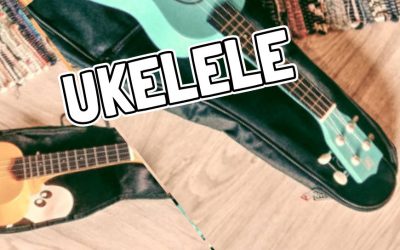 Ukelele iniciació